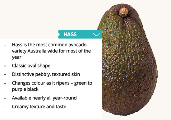 Know Your Avocado Varieties And When They're In Season