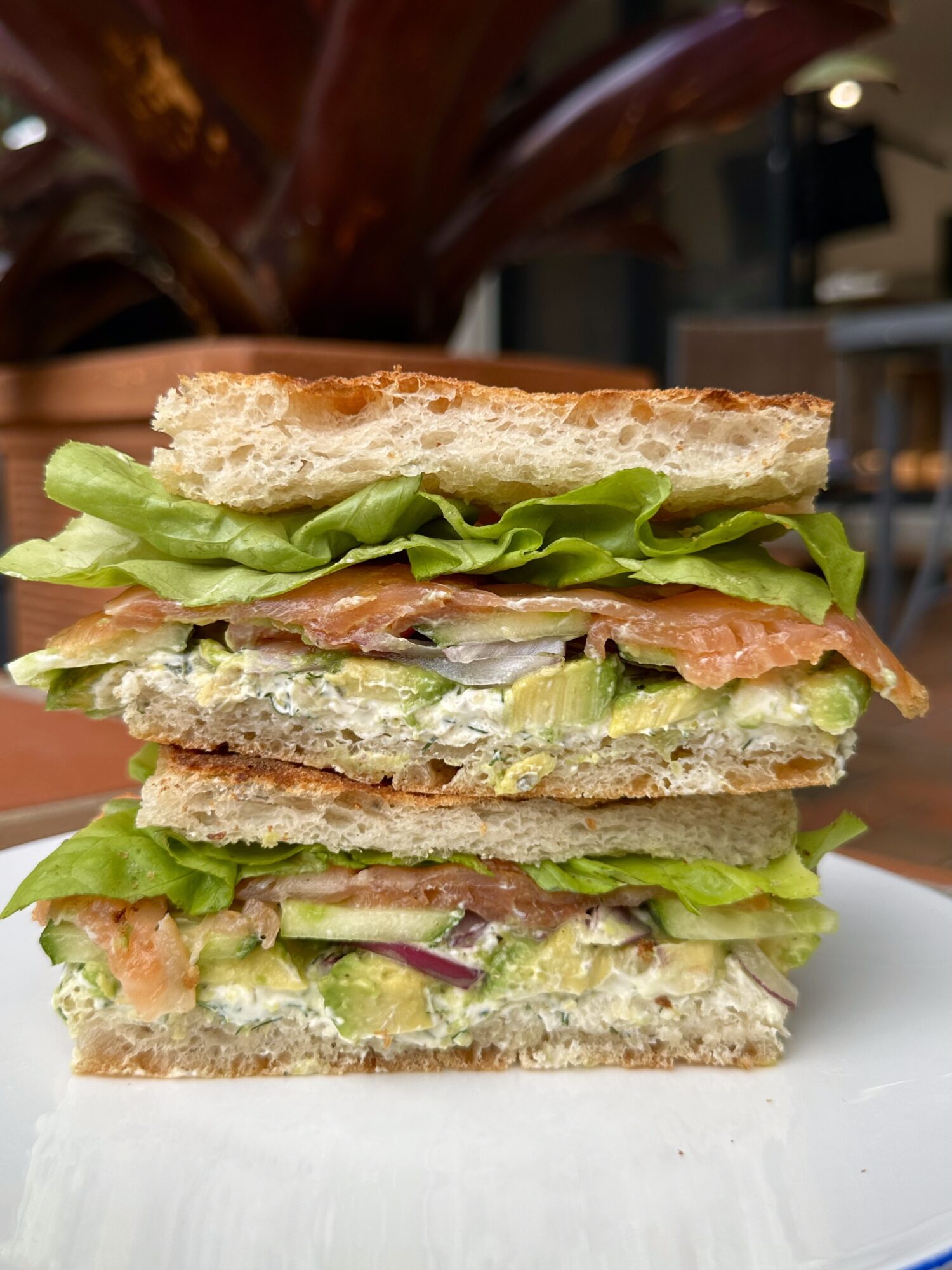 A Smoked Salmon & Avocado Sandwich